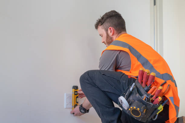 Best Electric Panel Repair  in Pleasant Hill, MS